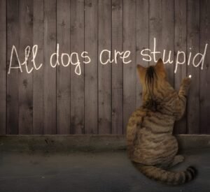 Cat Puns