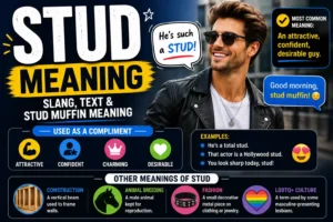 stud meaning image
